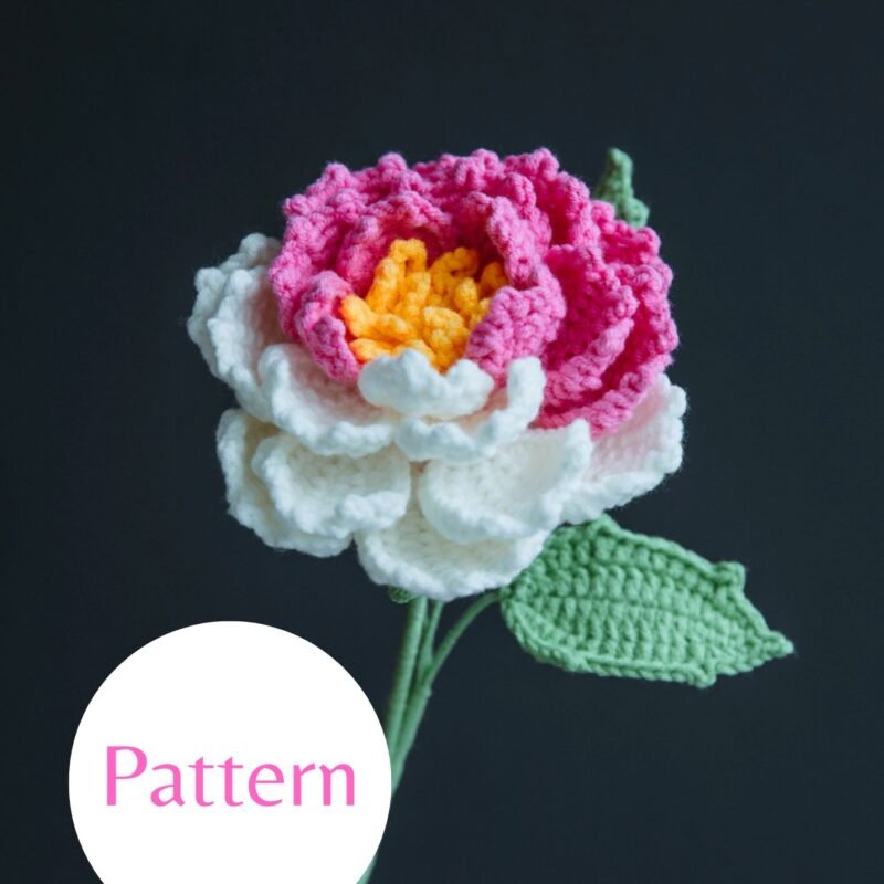 Blush Peony #1
